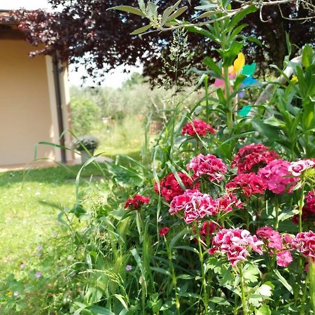 Bnb A La Maison Реджело Екстериор снимка
